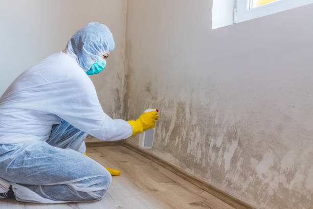 Mold Remediation specialist working in Allen